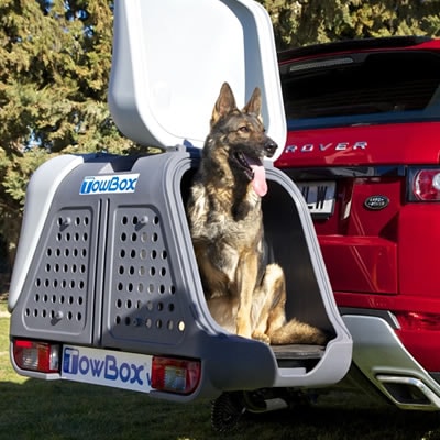 Box esterno auto per cani